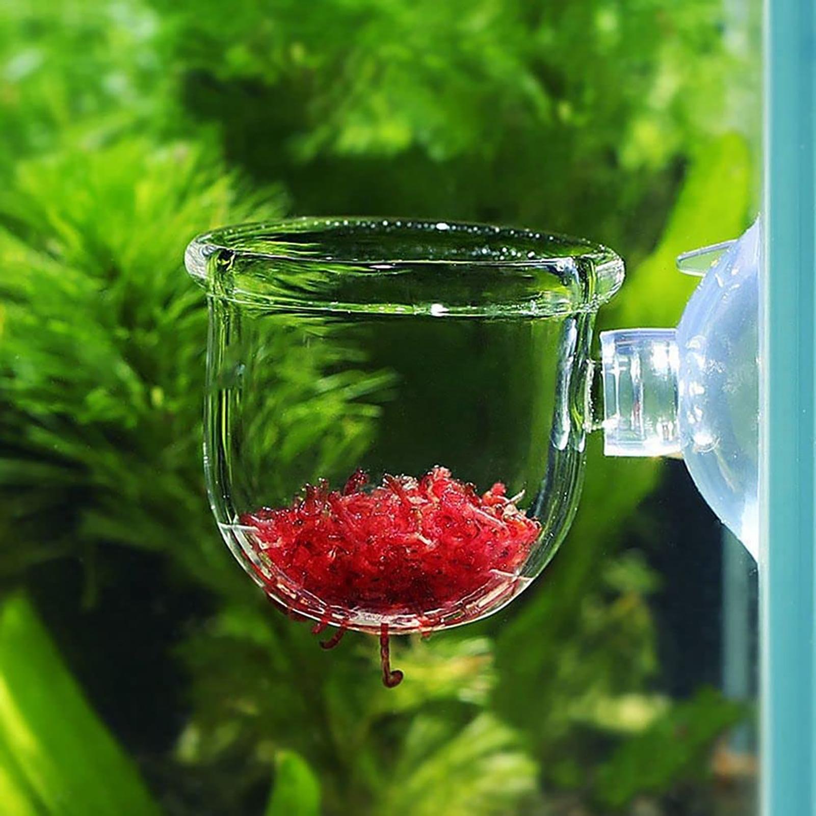 Aquarium Plant Seeds - Cylinder szklany z przyssawkami do uprawy