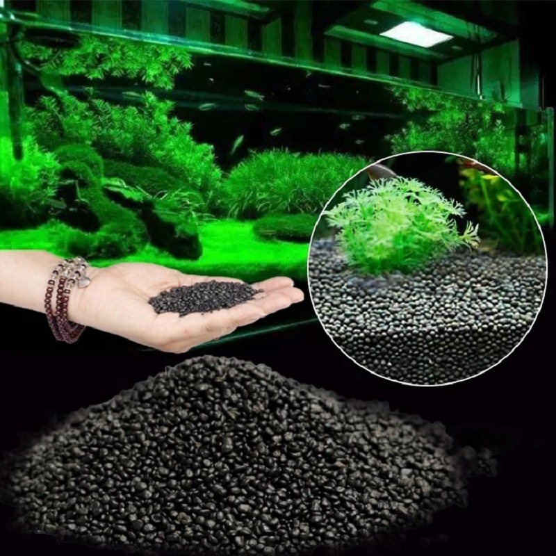 Aquarium Plant Seeds - Żwirek do akwarium, rośliny wodne, błoto,