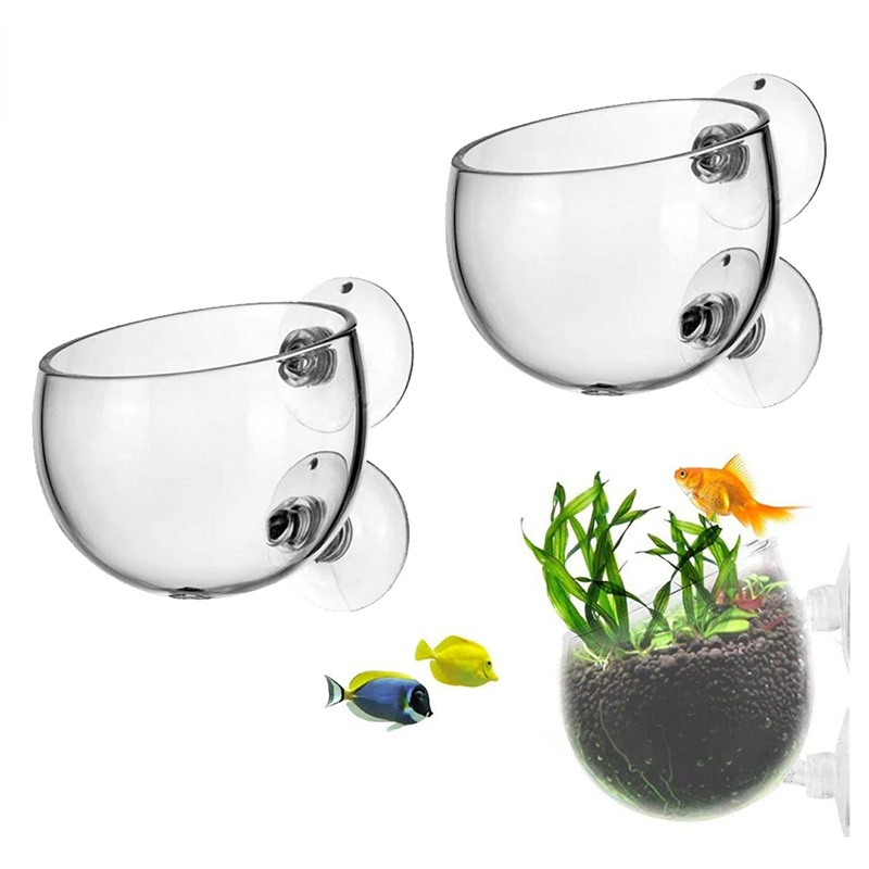 Aquarium Plant Seeds - Nowy szklany cylinder do uprawy roślin