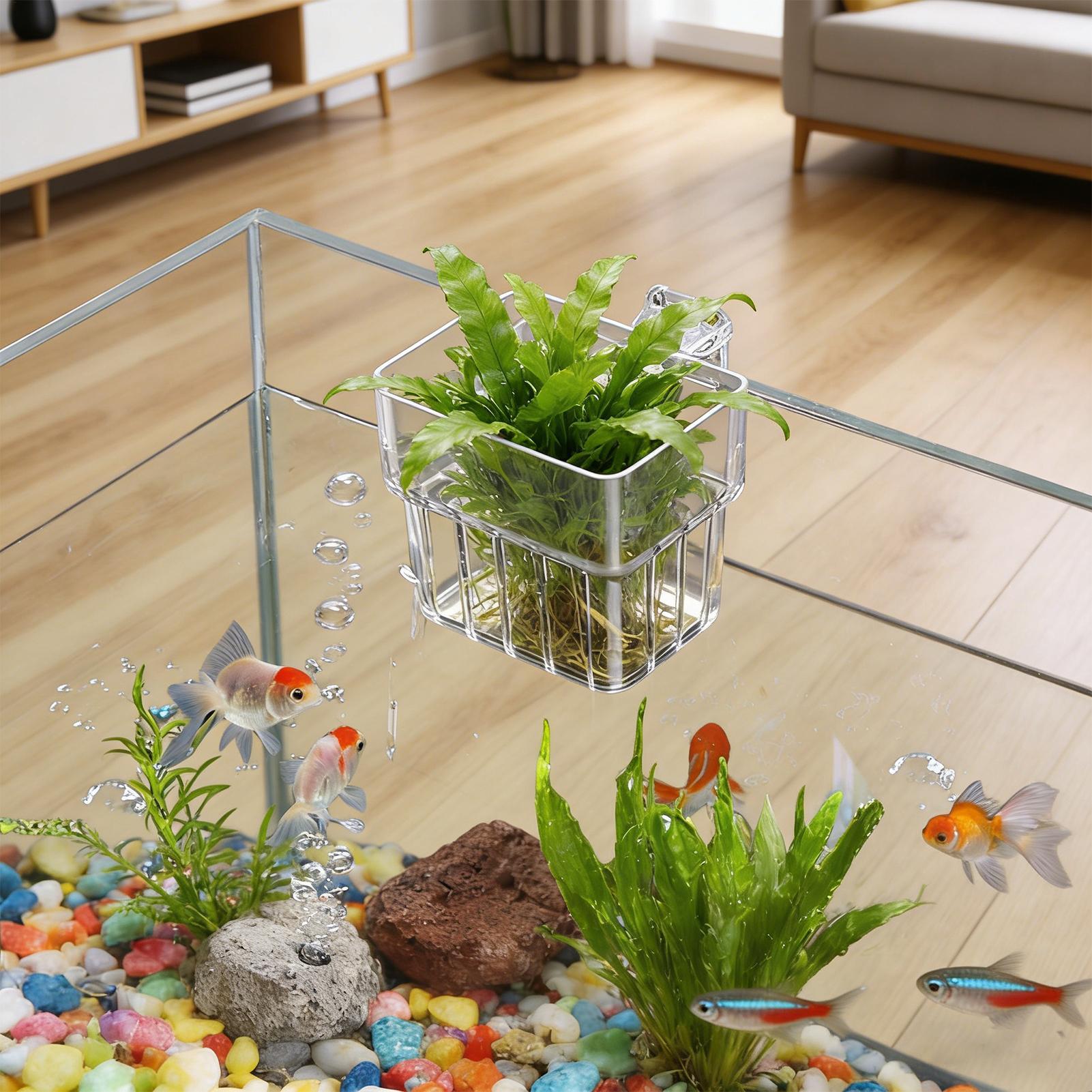 Planted Aquarium Kit - Przezroczysty wiszący pojemnik na rośliny do