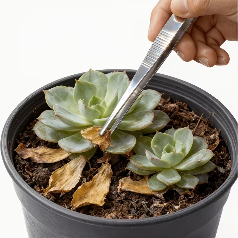 Planted Aquarium Care - Zestaw 2 szt. pęset ze stali