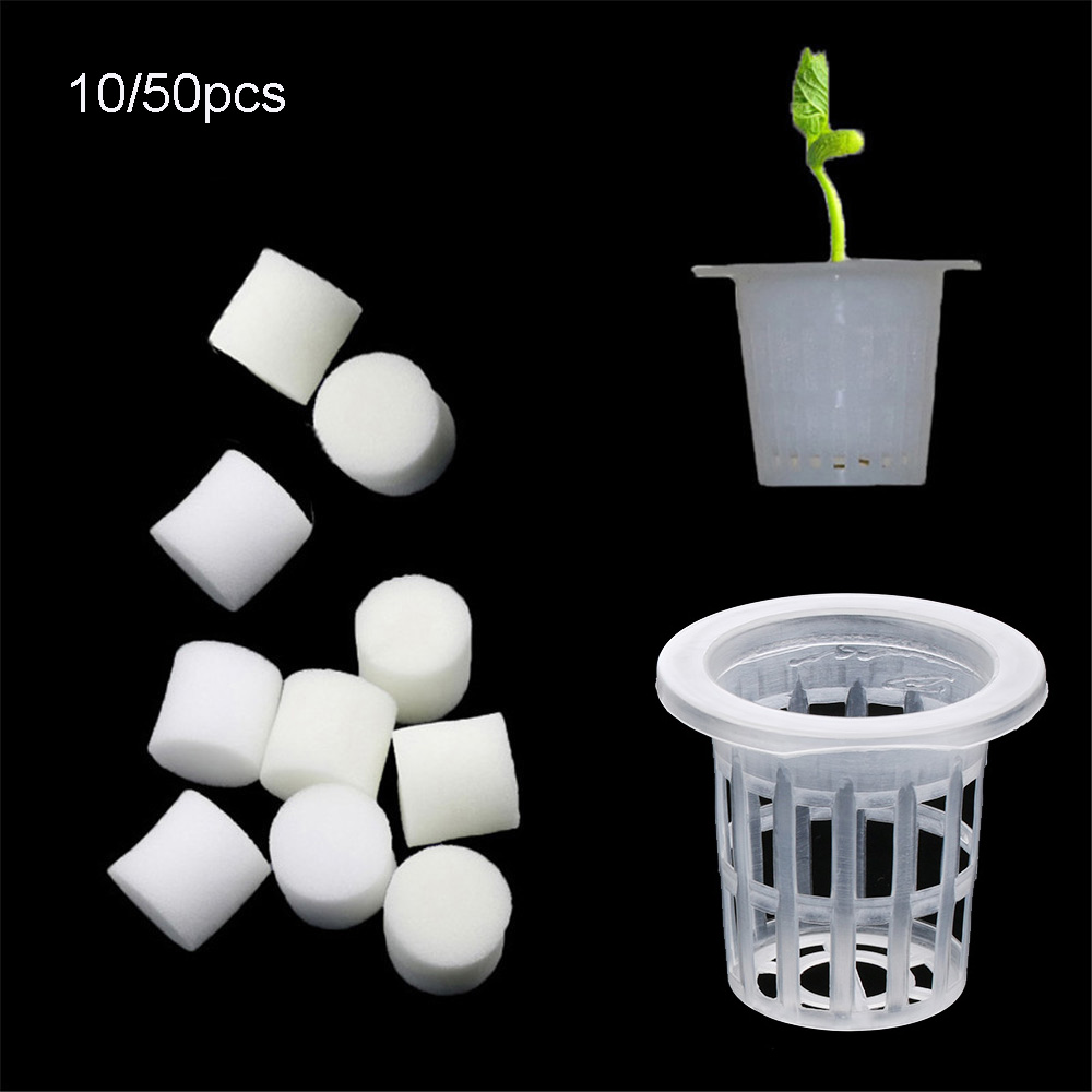 Aquarium Plant Seeds - 10/50 szt. Wytrzymałe tace do sadzenia,
