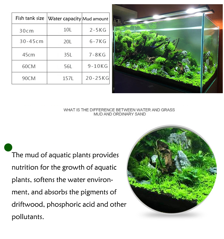 Woda akwariowa trawa błoto nas – Aquarium Plant Seeds recenzja i cena