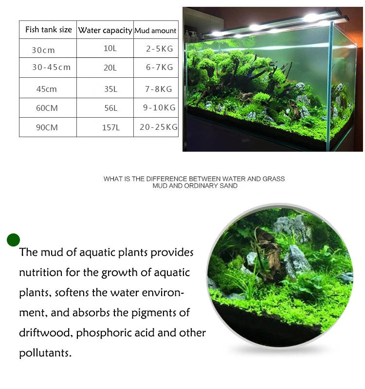 Żwirek do akwarium, rośliny wo – Aquarium Plant Seeds recenzja i cena