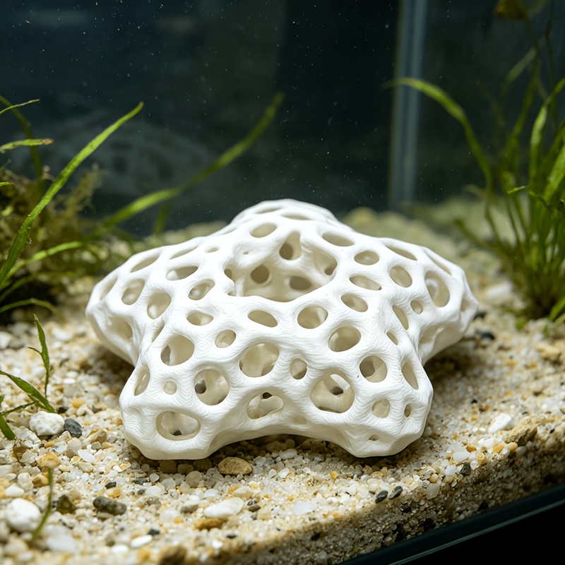 Wydrążona, pięcioramienna gwia – Planted Aquarium Without Fish recenzja i cena