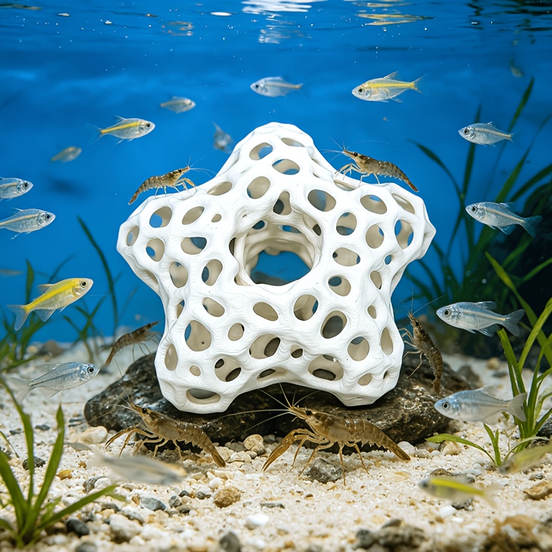 Wydrążona, pięcioramienna gwia – Planted Aquarium Without Fish recenzja i cena