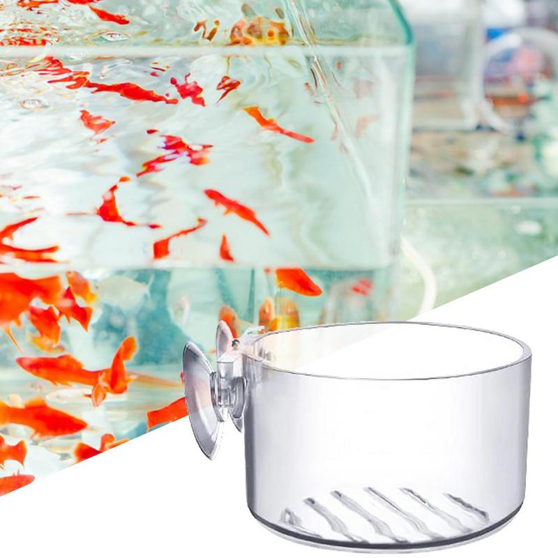 Doniczka na rośliny akwariowe  – Aquarium Plant Seeds recenzja i cena