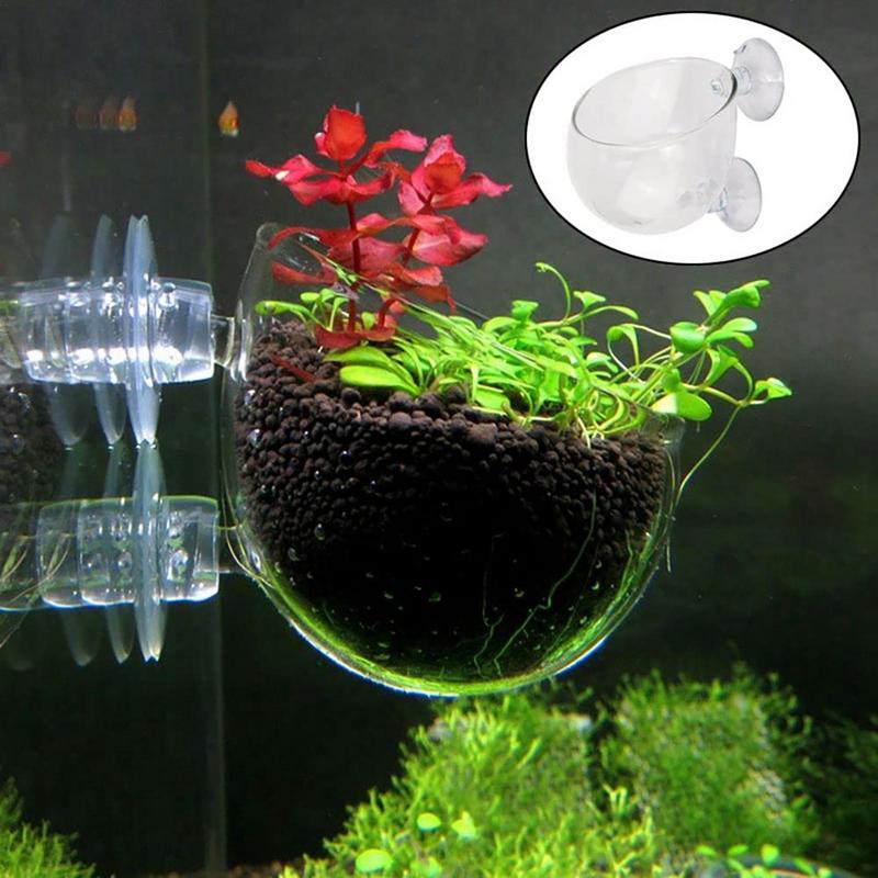 Doniczka na rośliny akwariowe  – Aquarium Plant Seeds recenzja i cena