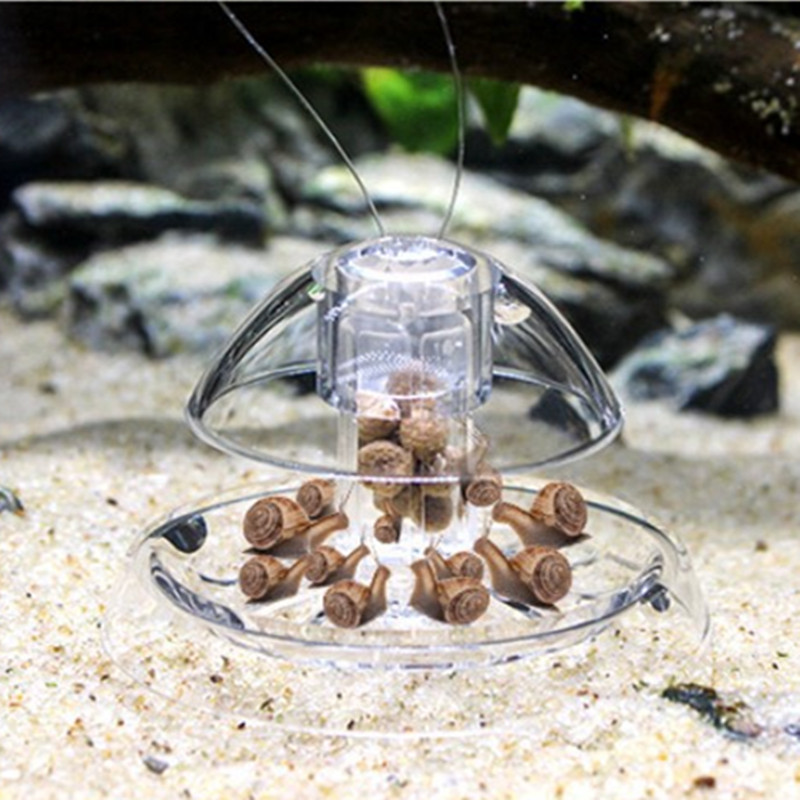 1PCS Fish Tank Aquarium Cleane – Planted Aquarium Tools recenzja i cena