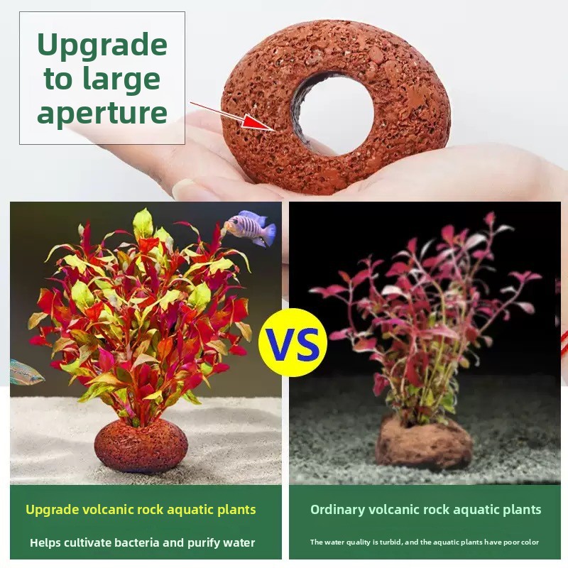 Akwarium z skał wulkanicznych, – Planted Aquarium Care recenzja i cena