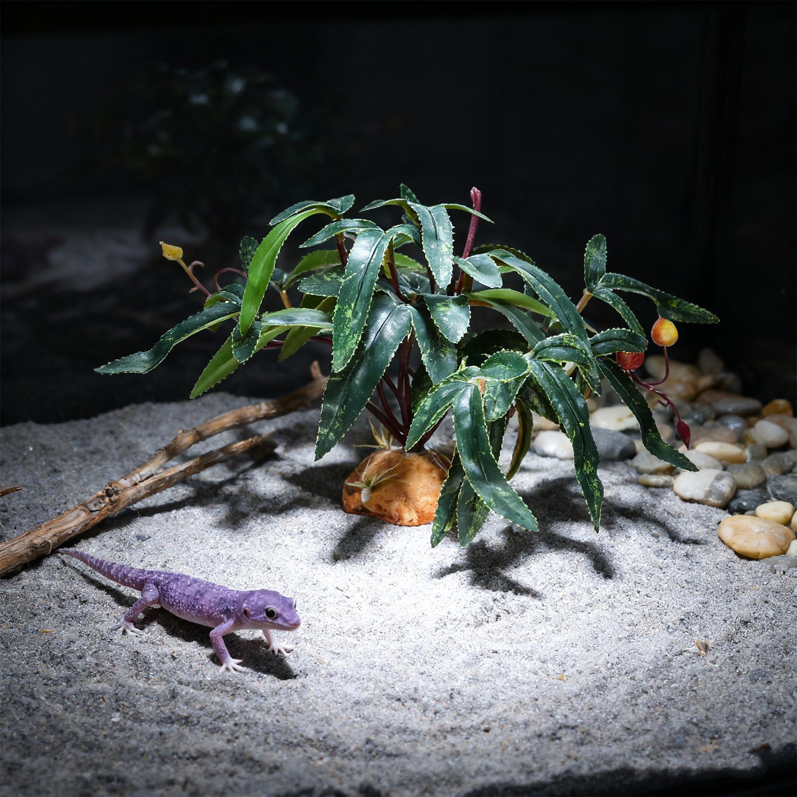 Sztuczne rośliny dla gadów, oz – Aquarium For Planted Tank recenzja i cena