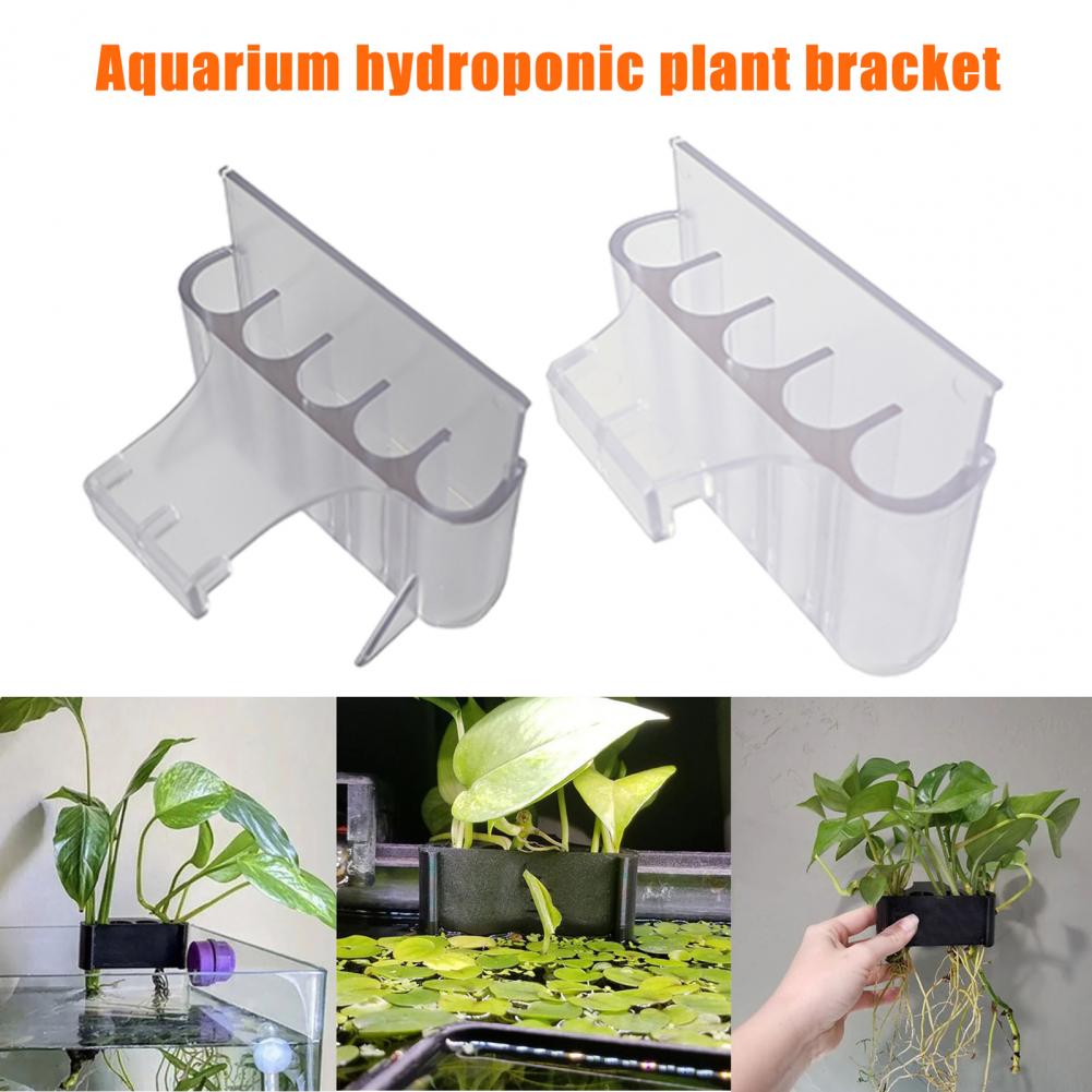 4.5/6.5cm akwarium uchwyt na r – Aquarium For Planted Tank recenzja i cena