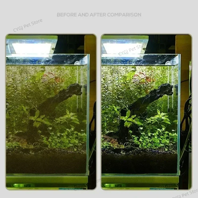 Narzędzie do czyszczenia akwar – Planted Aquarium Tools recenzja i cena