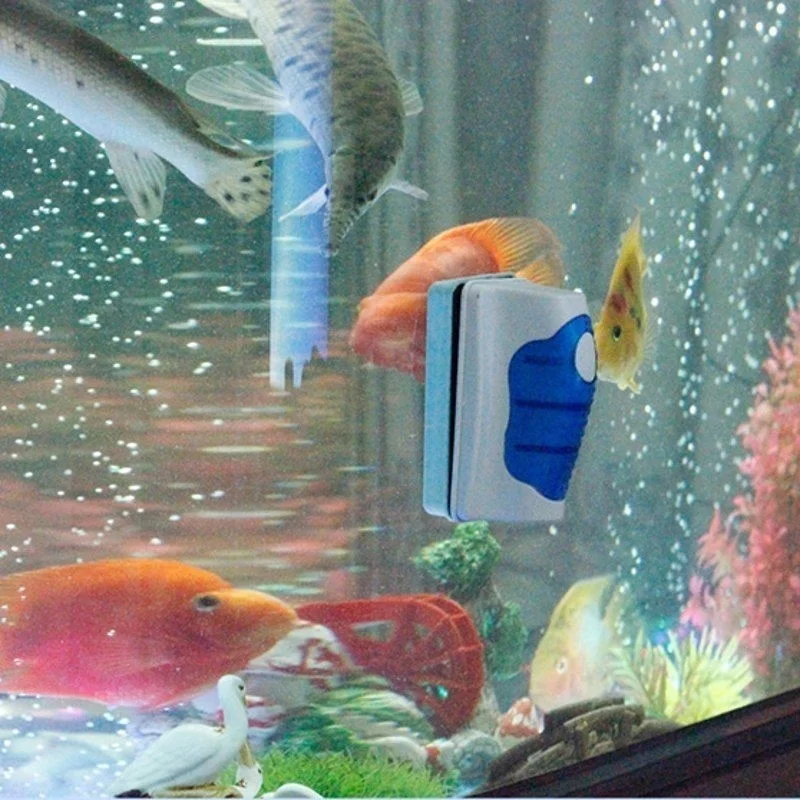 Skrobak do akwarium pływający  – Planted Aquarium Tools recenzja i cena