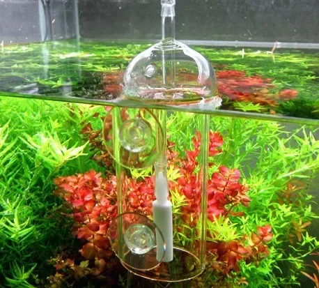 VIV Do urządzenie Cylinder akw – Planted Aquarium Parameters recenzja i cena