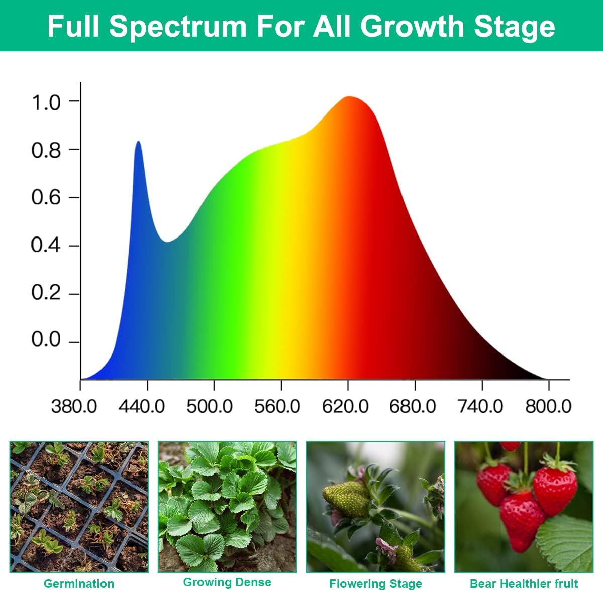 Lampy LED do uprawy roślin Peł – Aquarium Plant Seeds recenzja i cena