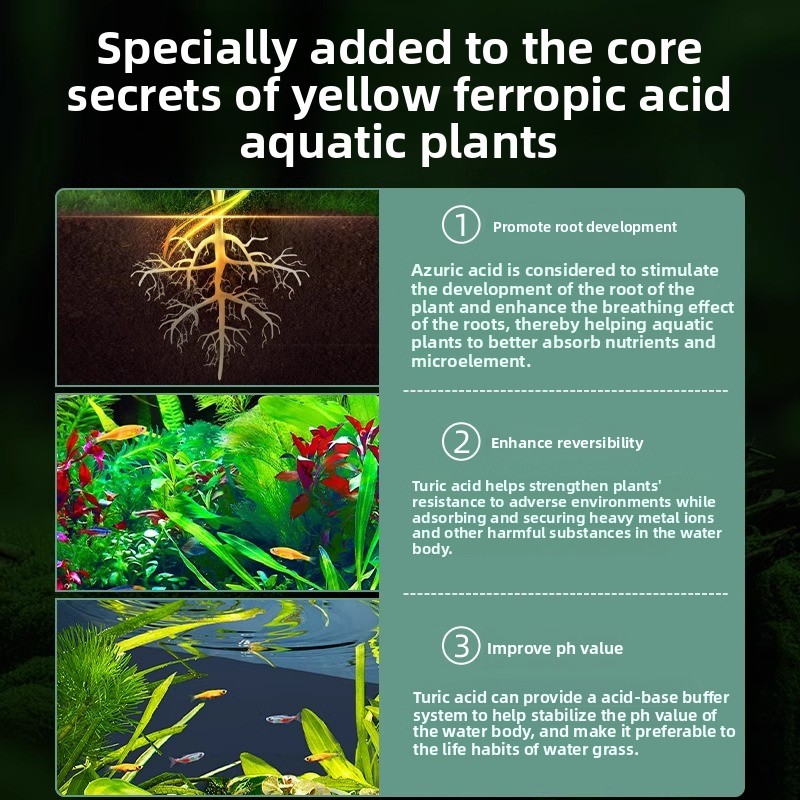 Nawóz do roślin akwariowych -  – Planted Aquarium Carpet Plant recenzja i cena