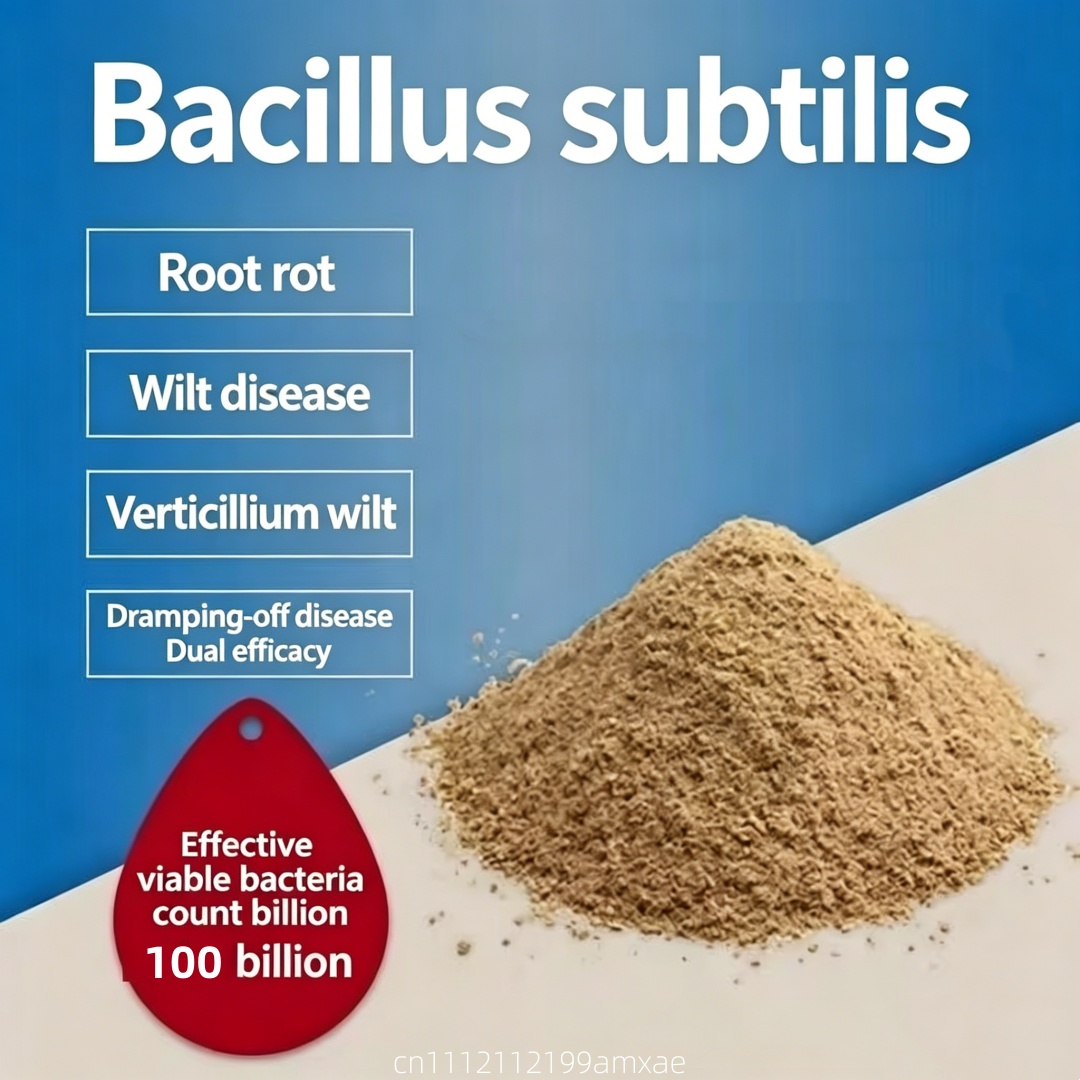 Wysokoaktywny proszek Bacillus – Aquarium Plant Root Fertilizer recenzja i cena