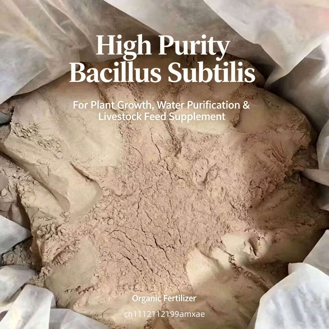 Wysokoaktywny proszek Bacillus – Aquarium Plant Root Fertilizer recenzja i cena
