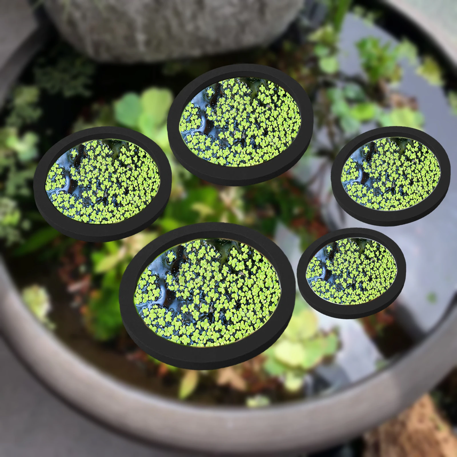 5Pcs EVA Pierścień do karmieni – Aquarium For Planted Tank recenzja i cena