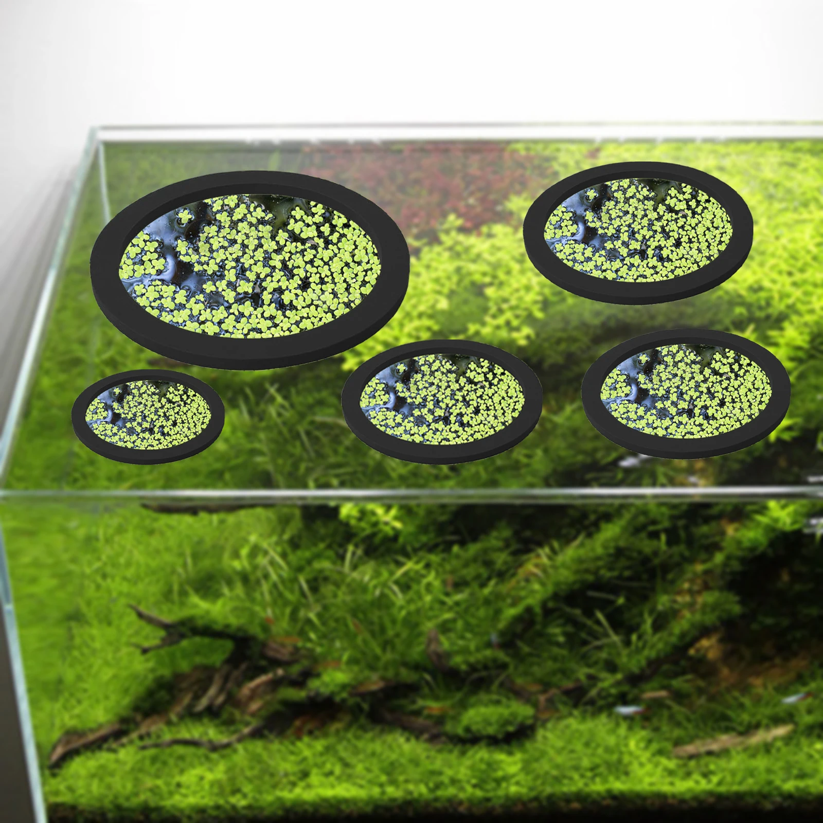 5Pcs EVA Pierścień do karmieni – Aquarium For Planted Tank recenzja i cena