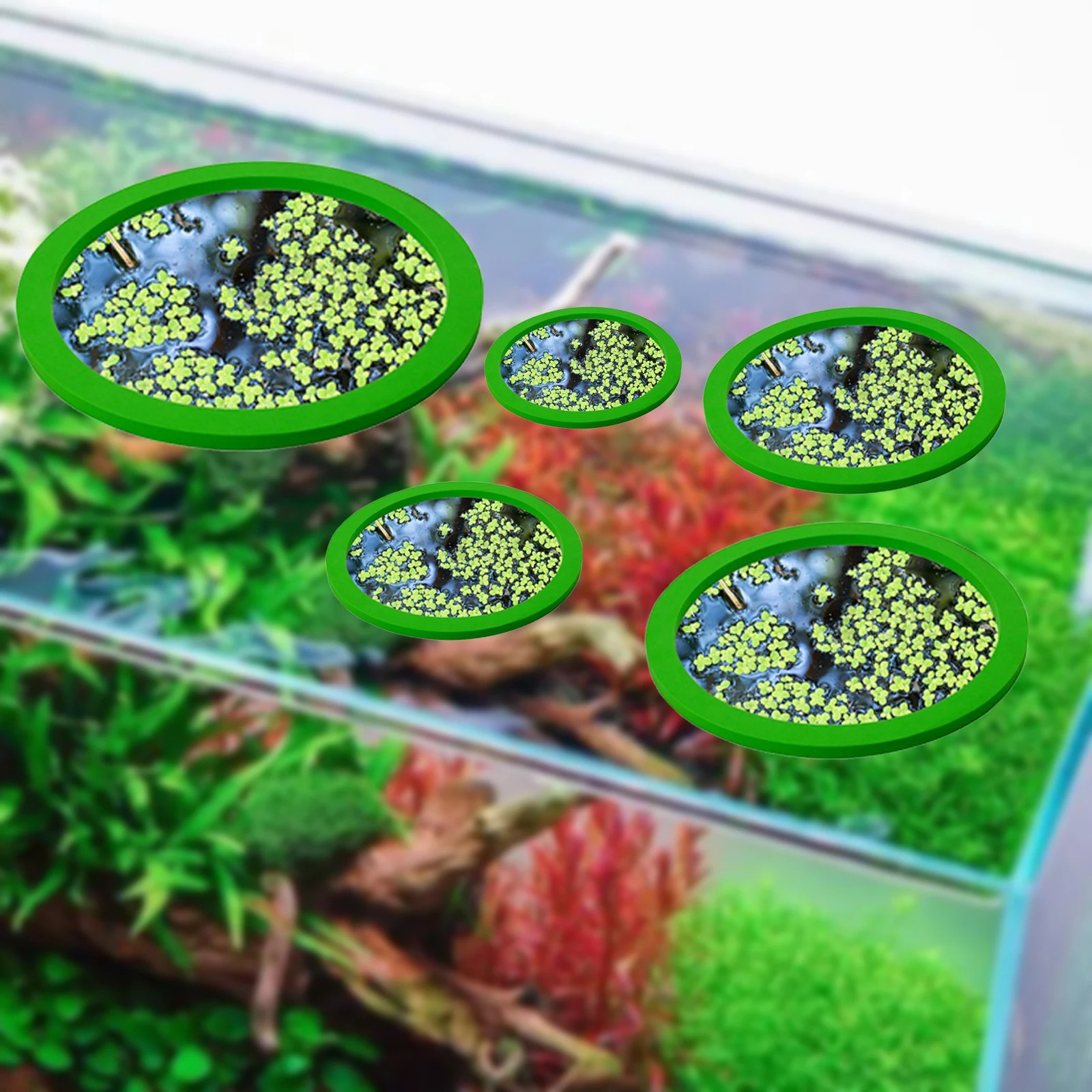 5Pcs EVA Pierścień do karmieni – Aquarium For Planted Tank recenzja i cena