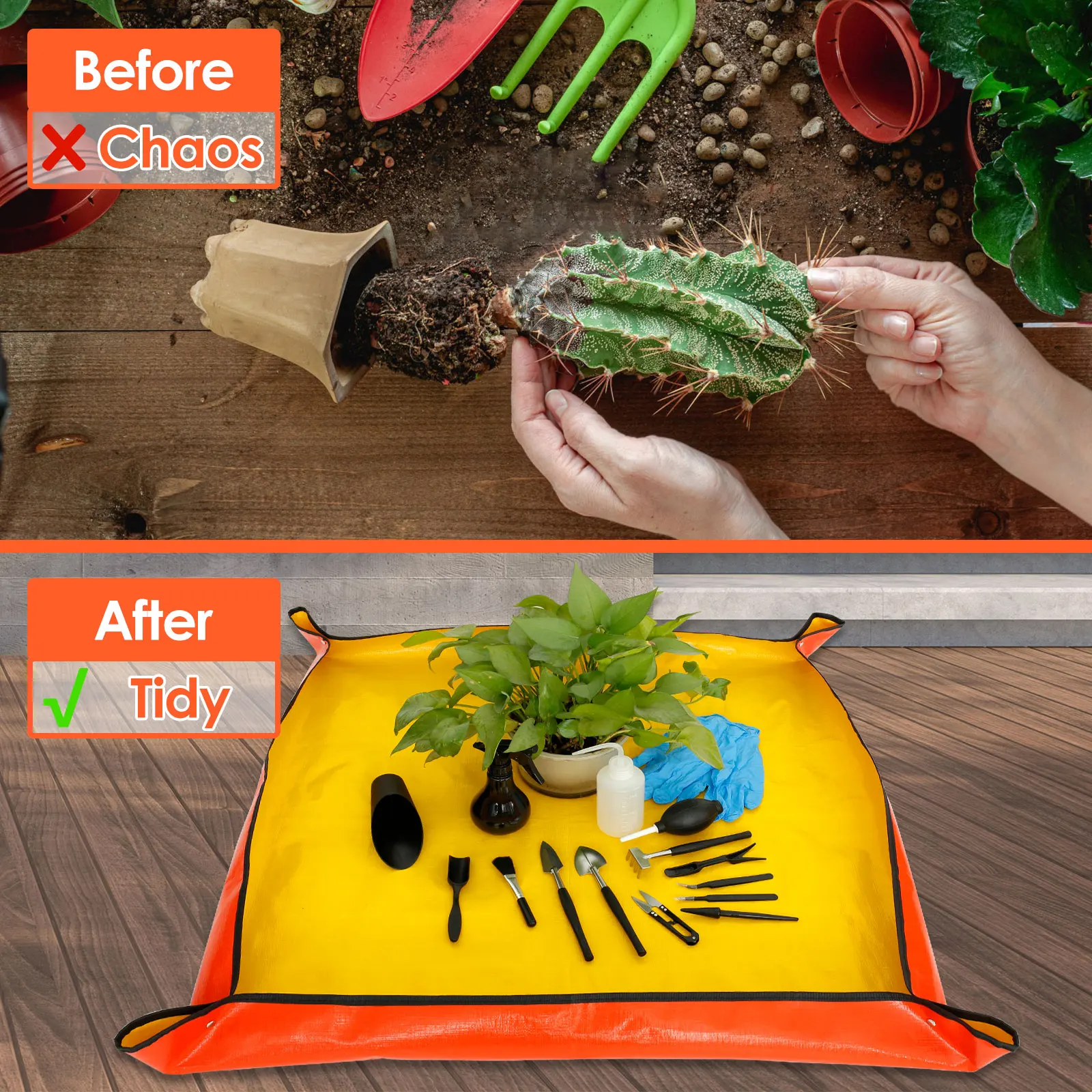 13/16 sztuk ogrodowe sukulenty – Planted Aquarium Tools recenzja i cena
