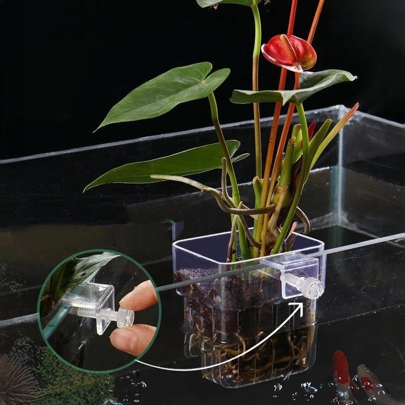Aquapro Szczotka do czyszczeni – Planted Aquarium Tools recenzja i cena
