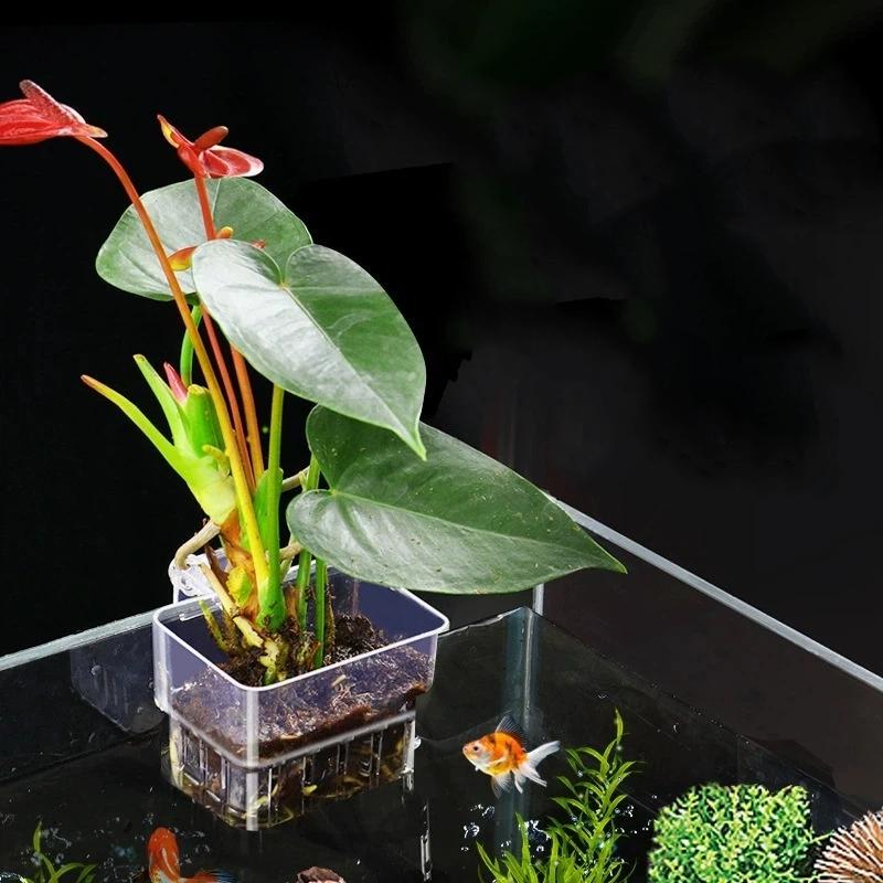 Aquapro Szczotka do czyszczeni – Planted Aquarium Tools recenzja i cena