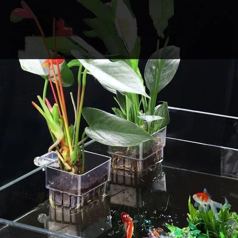 Aquapro Szczotka do czyszczeni – Planted Aquarium Tools recenzja i cena