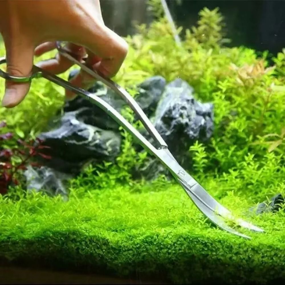 1 szt. Nożyczki do akwarium ze – Planted Aquarium Tools recenzja i cena