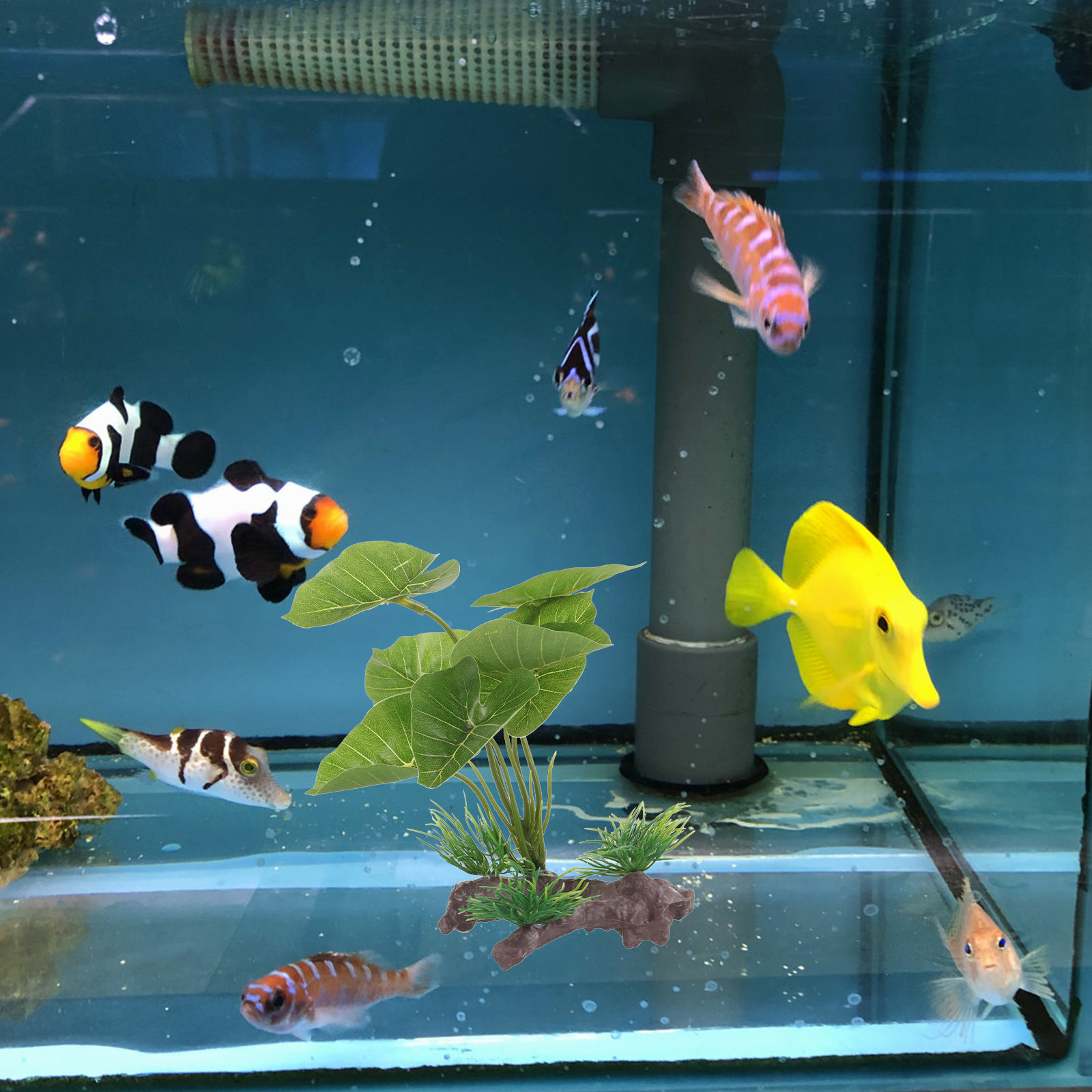Realistyczne plastikowe roślin – Planted Aquarium Care recenzja i cena