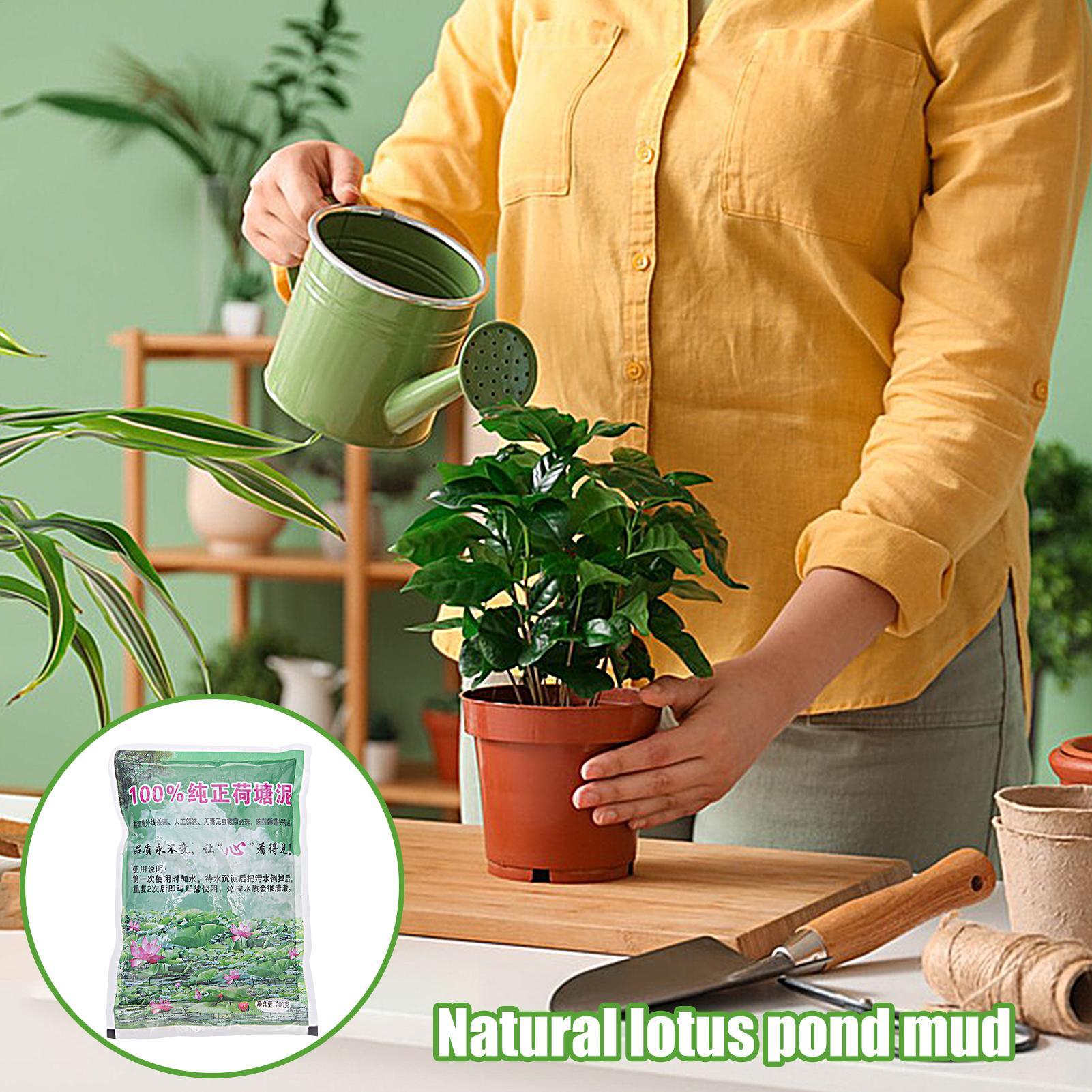 200g/worek Naturalna gleba akw – Aquarium Plant Seeds recenzja i cena