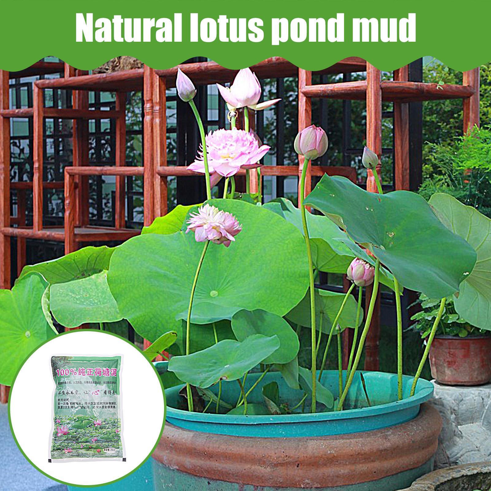 200g/worek Naturalna gleba akw – Aquarium Plant Seeds recenzja i cena