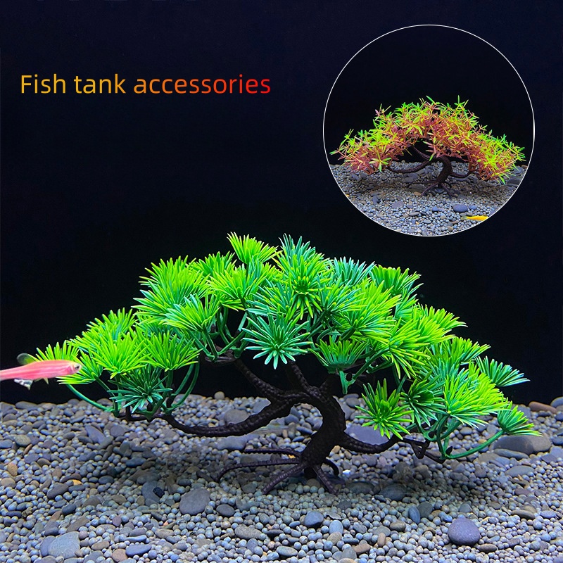 Drzewo bonsai akwariowe, rośli – Aquarium Plant Seeds recenzja i cena