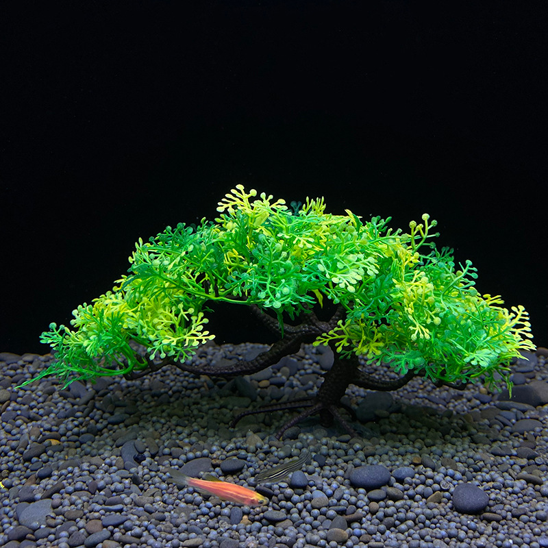 Drzewo bonsai akwariowe, rośli – Aquarium Plant Seeds recenzja i cena