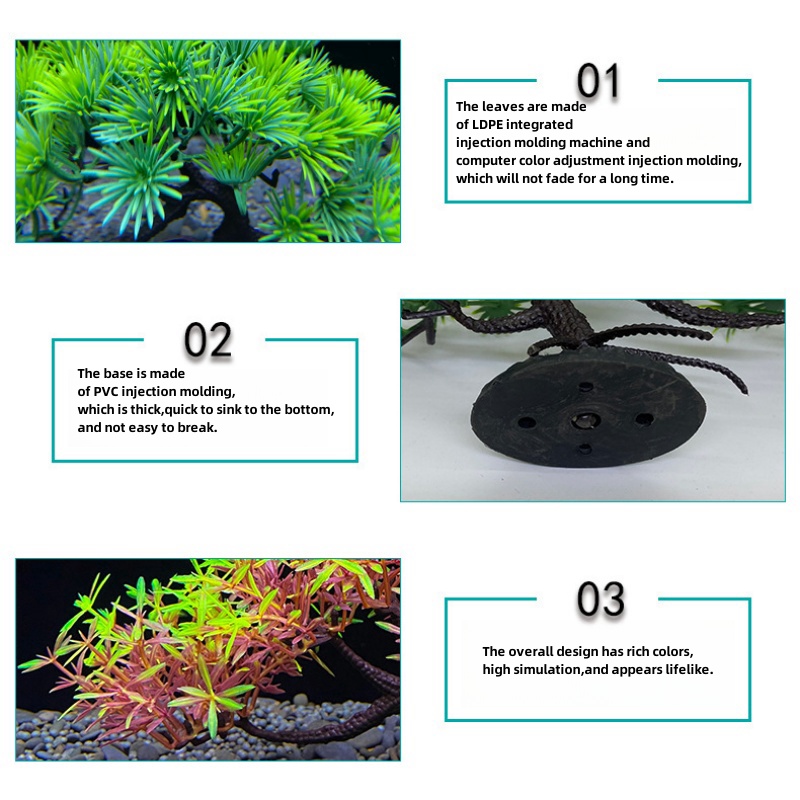 Drzewo bonsai akwariowe, rośli – Aquarium Plant Seeds recenzja i cena