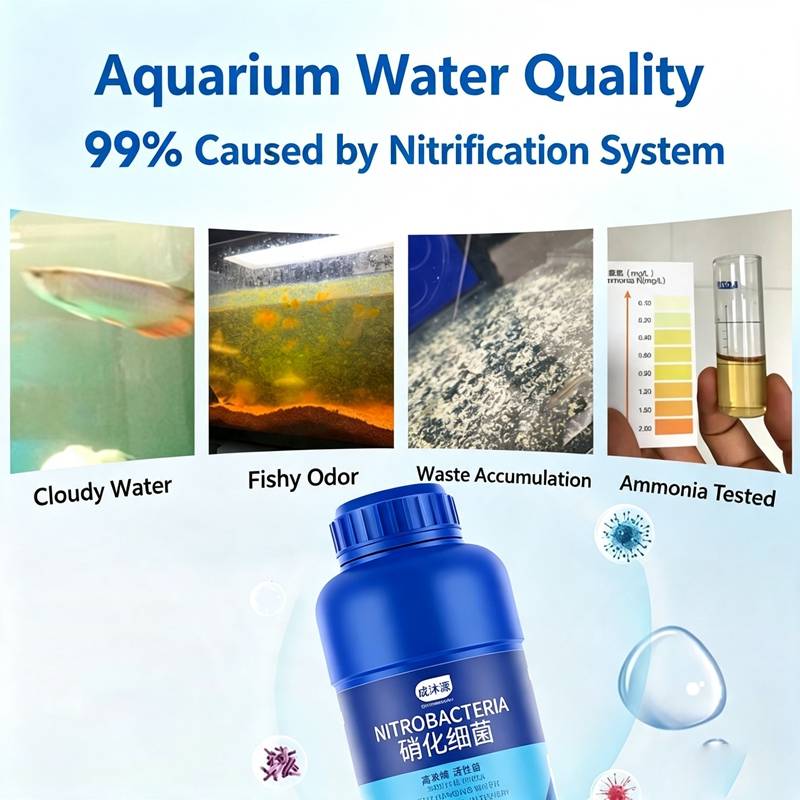 Akwarium Słodkowodne 120ml Zes – Planted Aquarium Care recenzja i cena