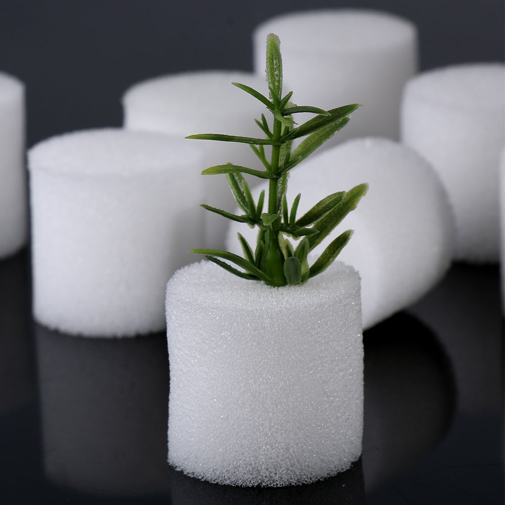 10/50 sztuk trwałe narzędzia o – Aquarium Plant Seeds recenzja i cena