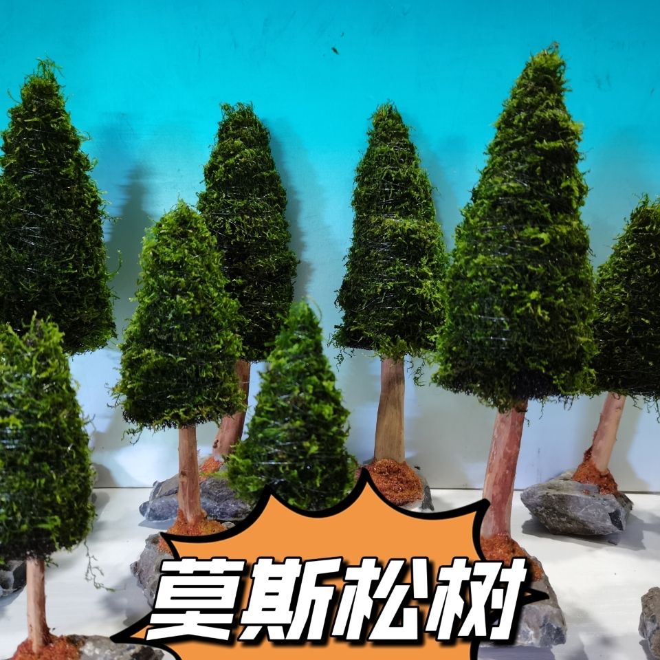 Dekoracja akwarium rośliny wod – Aquarium Plant Seeds recenzja i cena