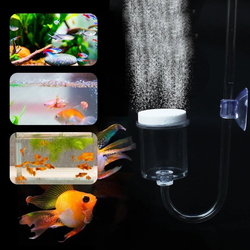 4szt Zestaw DIY Dyfuzor CO2 do – Planted Aquarium Parameters recenzja i cena