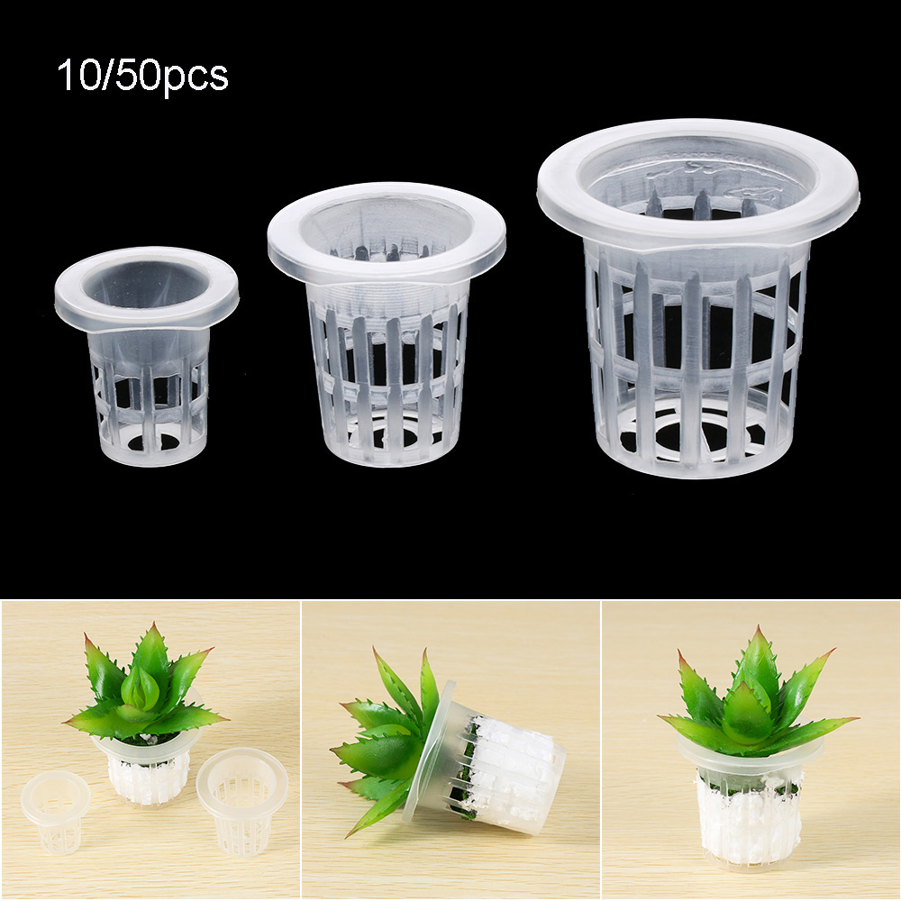 10/50 szt. Wytrzymałe tace do  – Aquarium Plant Seeds recenzja i cena