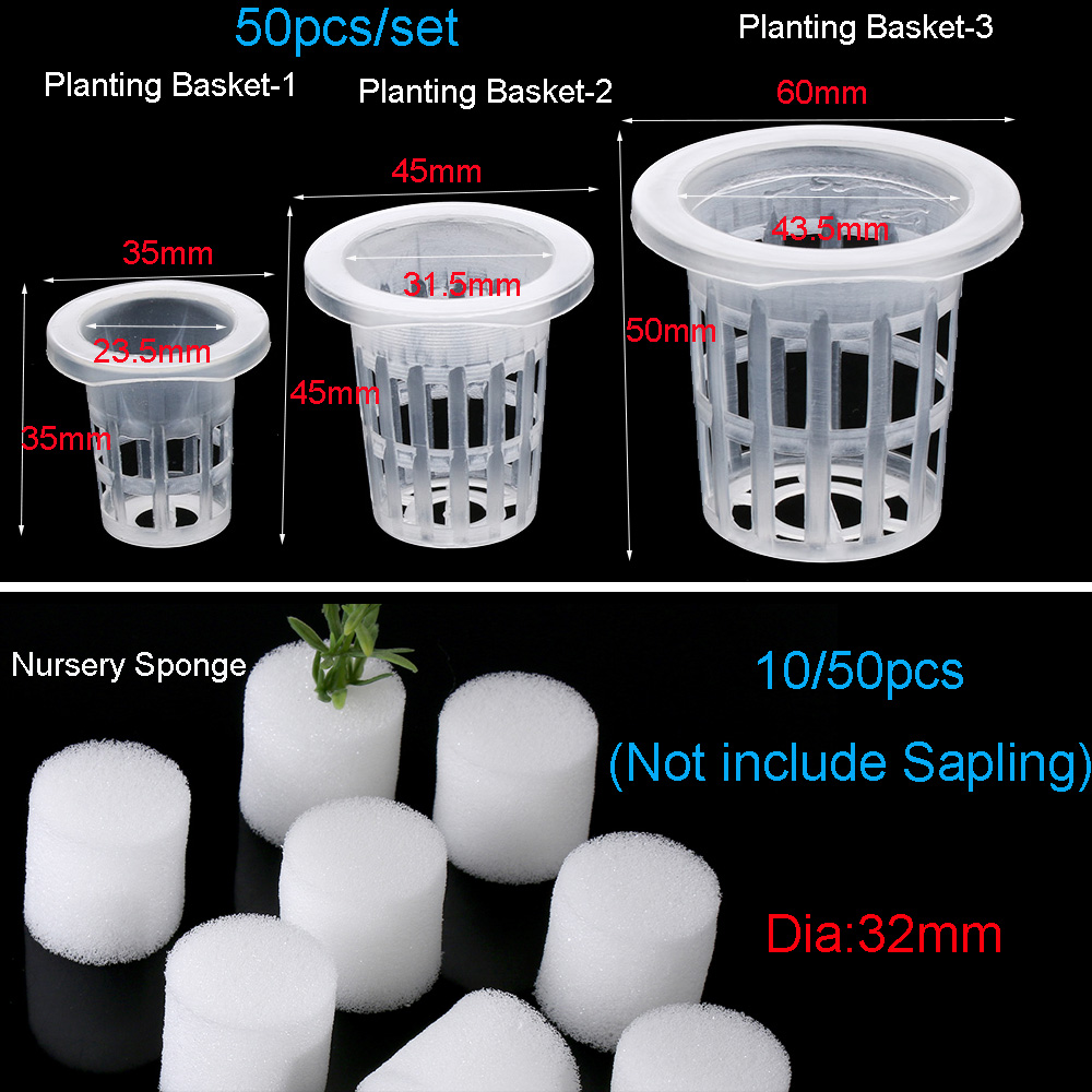 10/50 szt. Wytrzymałe tace do  – Aquarium Plant Seeds recenzja i cena