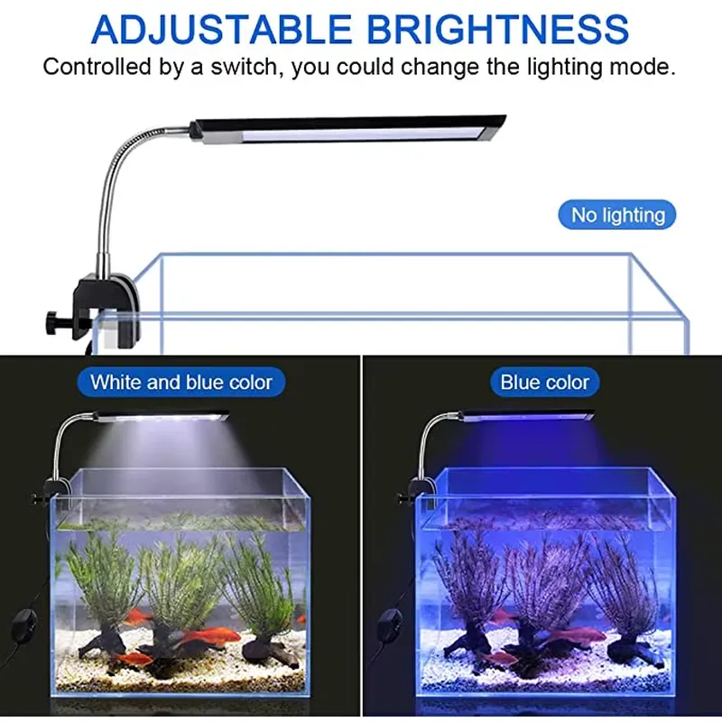 Regulowany metalowy wąż, łatwa – Aquarium Plant Easy To Grow recenzja i cena